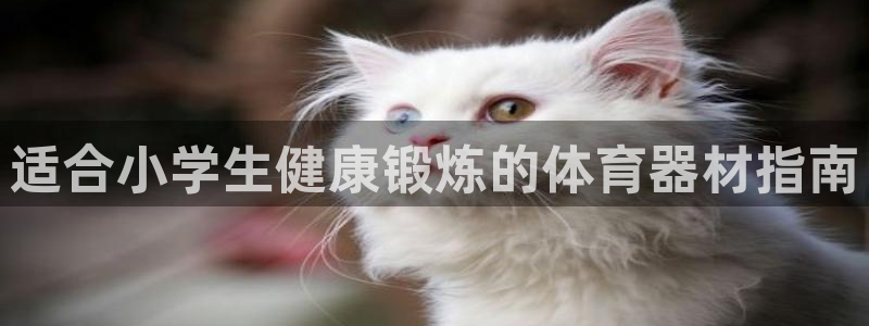 尊龙凯时处理未到账