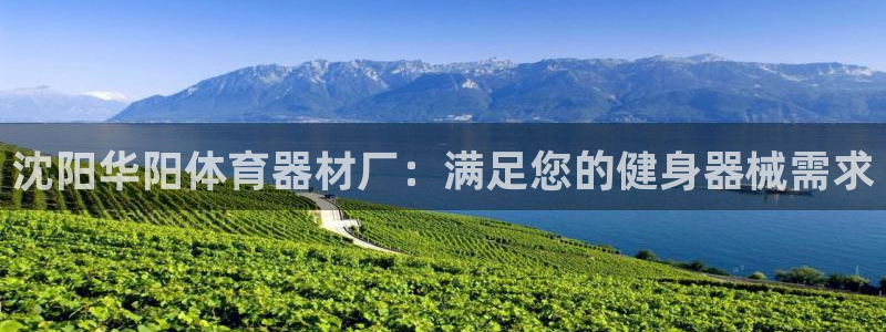 尊龙实业有限公司属于国企吗
