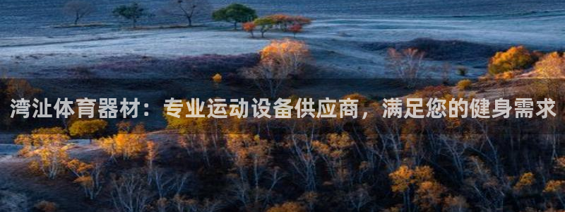 凯时国际app首页