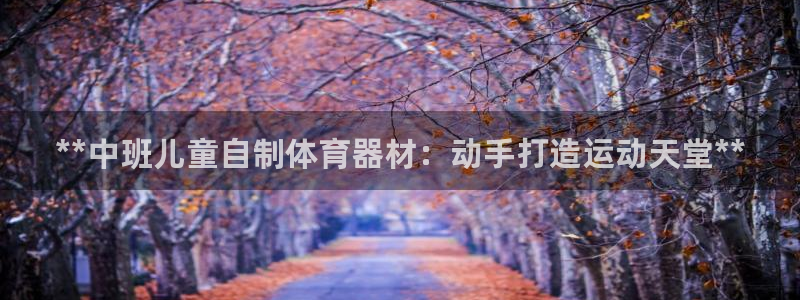 尊龙z6