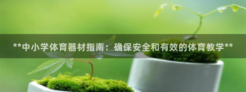 尊龙得过奥斯卡吗
