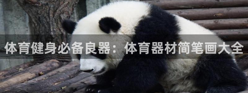 尊龙品牌怎么样