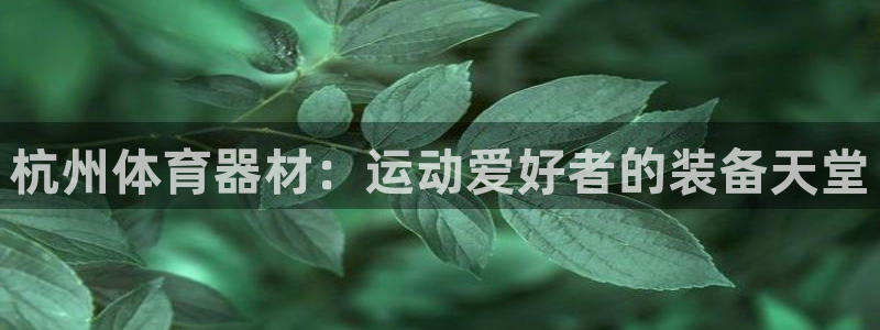 尊龙t500和t300区别