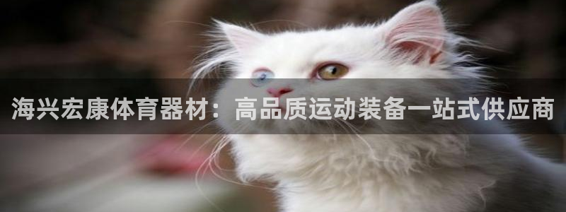 尊龙/人生就是博