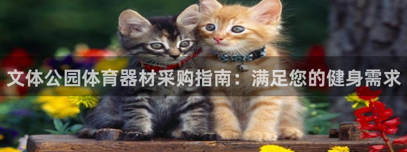尊龙凯时能做退米么