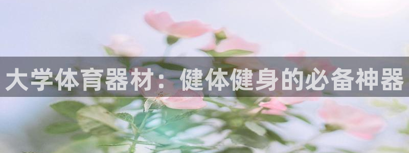 尊龙 ag