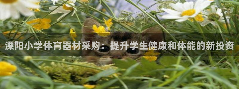 国际凯时ag优质运营商