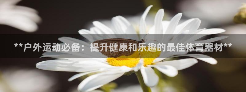 尊龙凯时代理