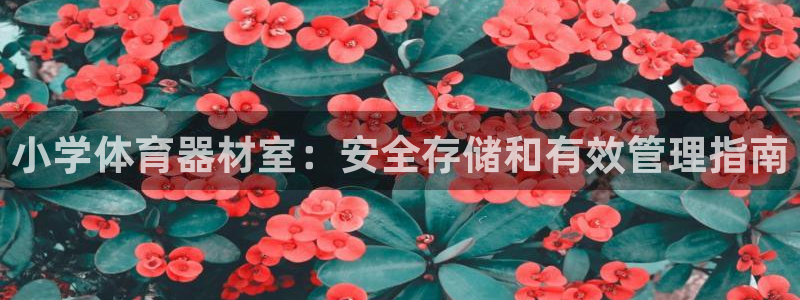 z6尊龙官网平台下载