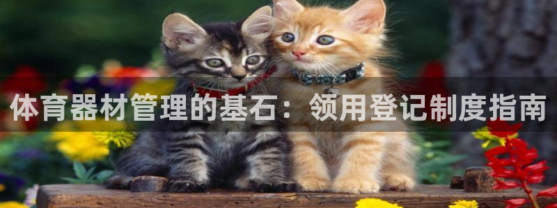尊龙凯时官方网站下载
