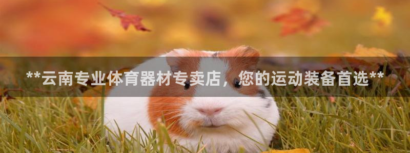 尊龙凯时国际