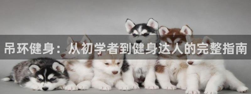 尊龙ag旗舰厅官网·(中国)官方入口