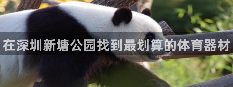 尊龙 下载