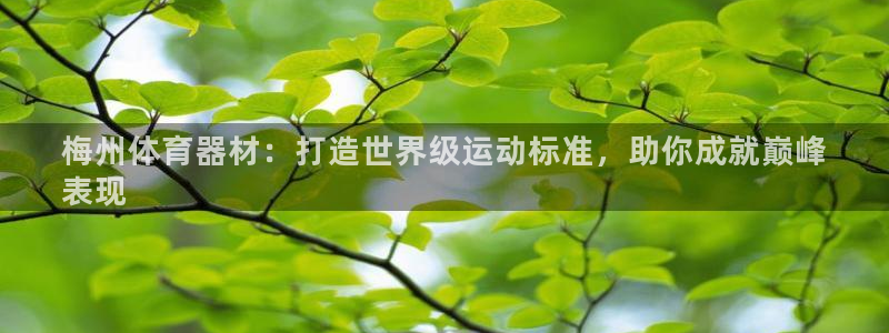 尊龙负面新闻