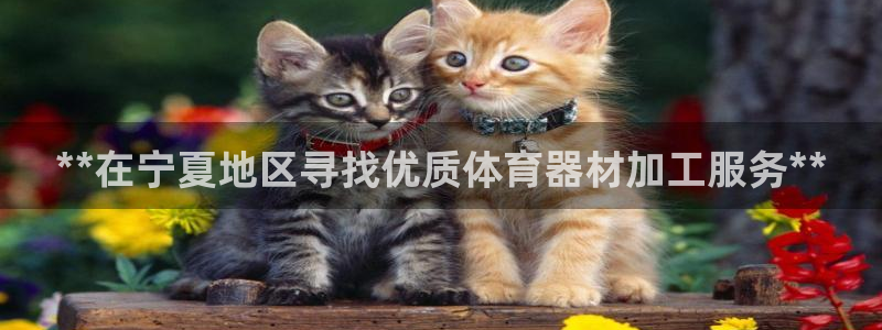 尊龙人生就是博D88