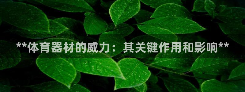 尊龙d88官网确来就送38