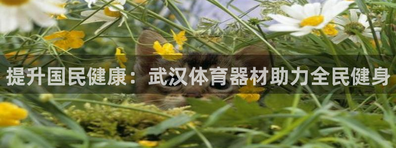 尊龙凯时导航菜单首页