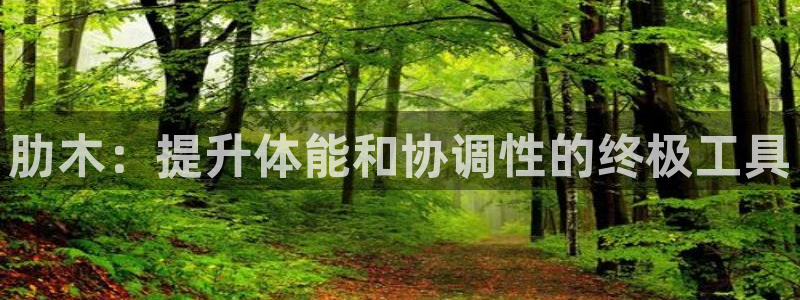 尊龙ag旗舰厅下载