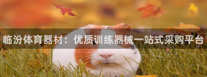 尊龙凯时人生就是博游戏网站