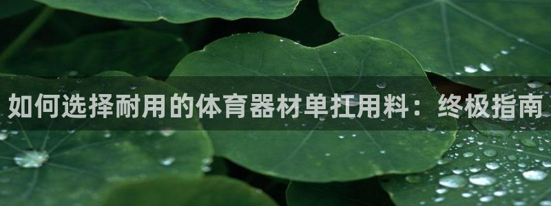 尊龙ag旗舰厅官网·(中国)官方入口