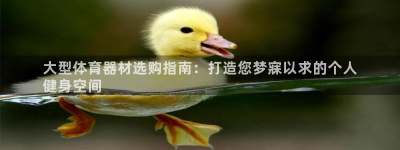 AG尊龙凯时注册