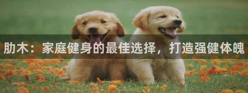 尊龙凯时注册地址