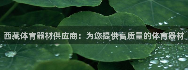尊龙集团有限公司