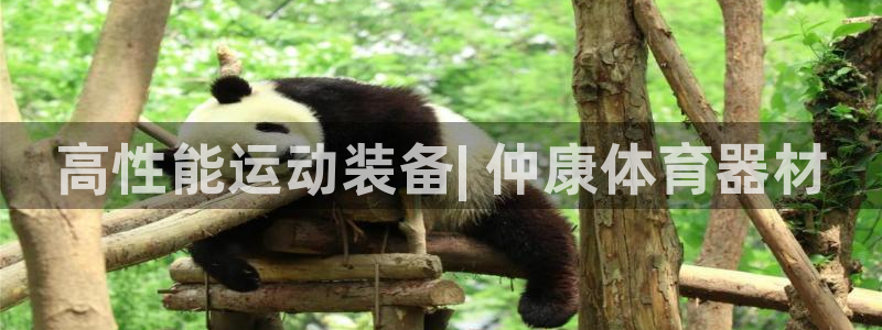 尊龙—人生就是博