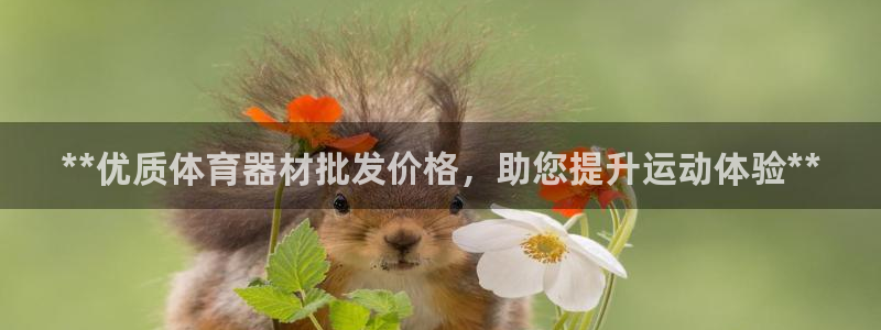 凯时AG网