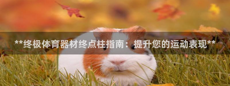 尊龙凯时 - 人生就是搏!提款怎么样
