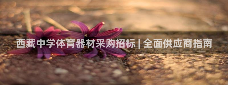 尊龙AG发财网