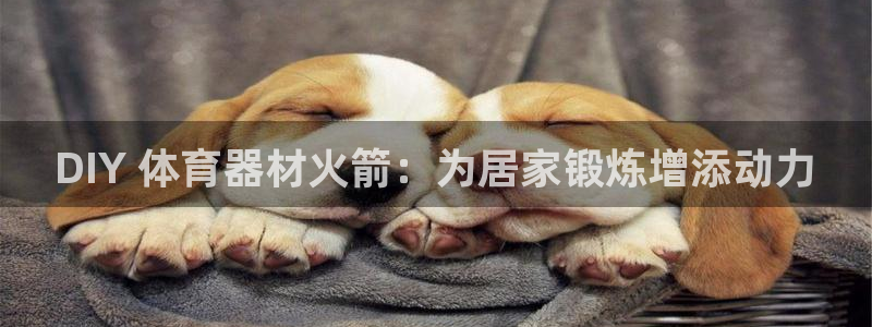 尊龙凯时网页版