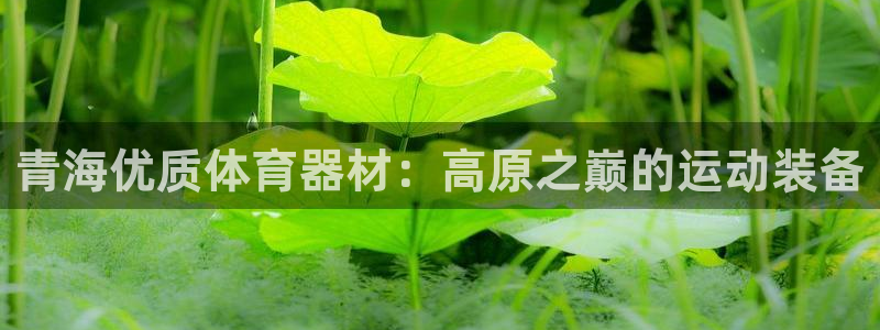 尊龙贴吧