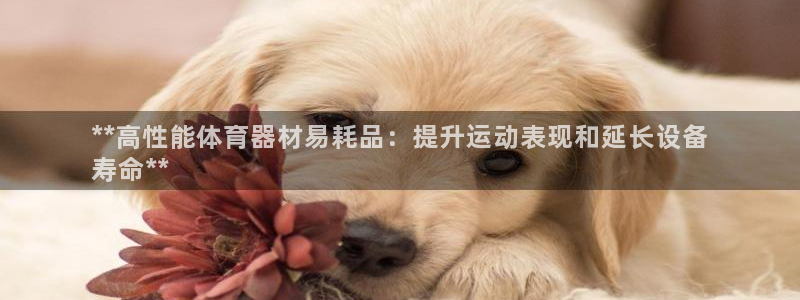 尊龙凯时干什么的