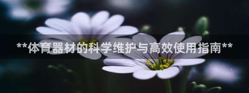 尊龙官网入口