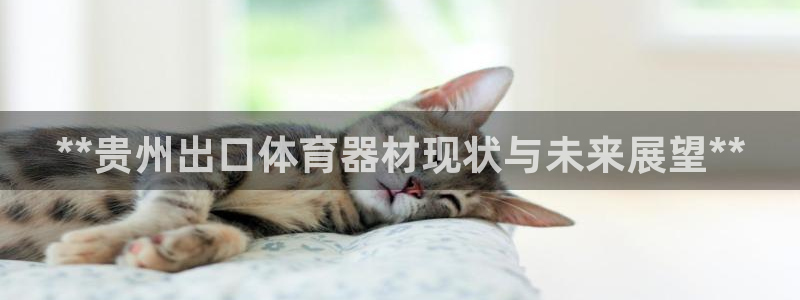 尊龙凯时能不能提现?