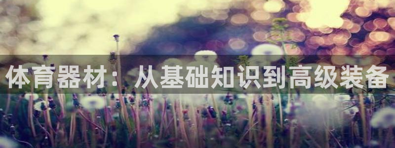 尊龙体育正规么