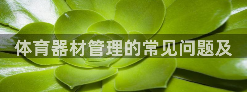 尊龙凯时旗舰厅官网