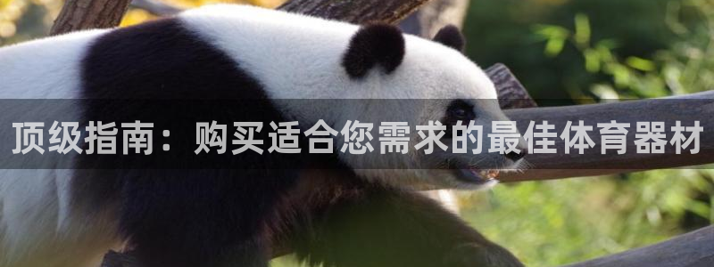 尊龙凯时充十万返现多少