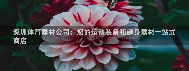 尊龙人生就是博送38