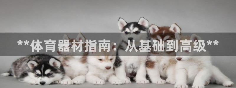 凯时国际最新：**体育器材指南：从基础到高级**