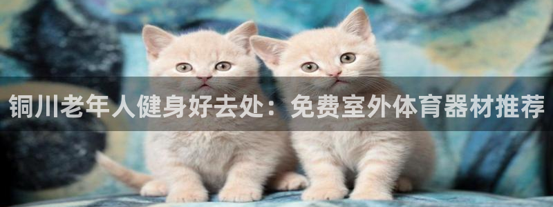 尊龙凯时下载链接