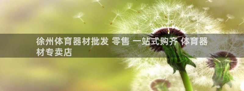 尊龙ag旗舰官网