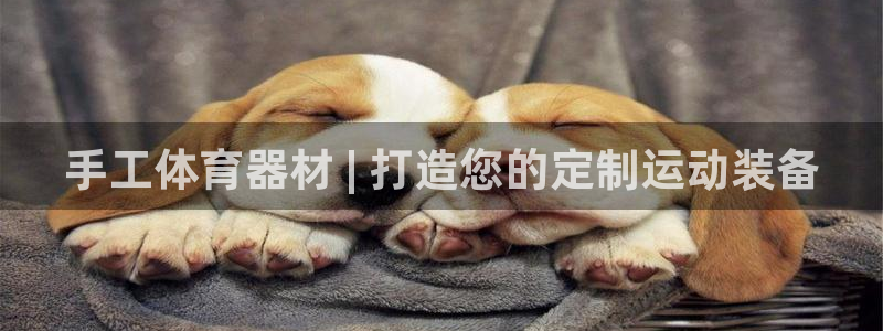 尊龙凯时ag旗舰厅官网客服