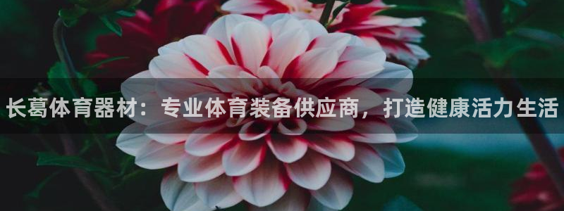 尊龙服饰有限公司地址：长葛体育器材：专业体育装备供应商，打造