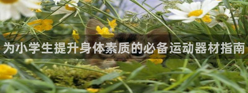 尊龙-人生就是博