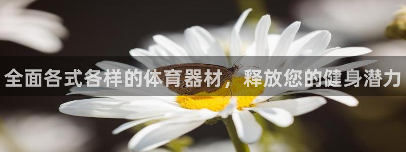 凯时APP官网首页
