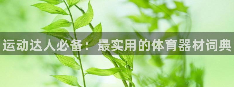 尊龙官方网站最新版V9.3.06介绍