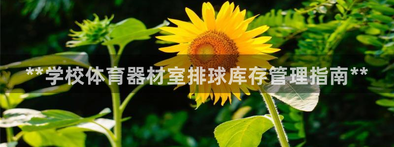 尊龙凯时是直营吗：**学校体育器材室排球库存管理指南**