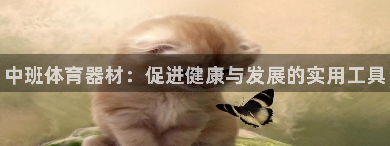 尊龙人生就是博旧版网址